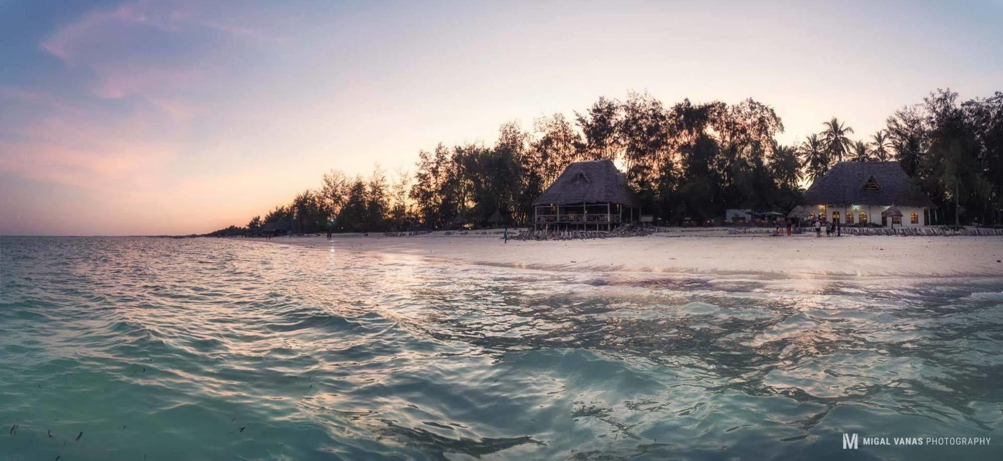 Ndame Beach Lodge Paje Exterior photo